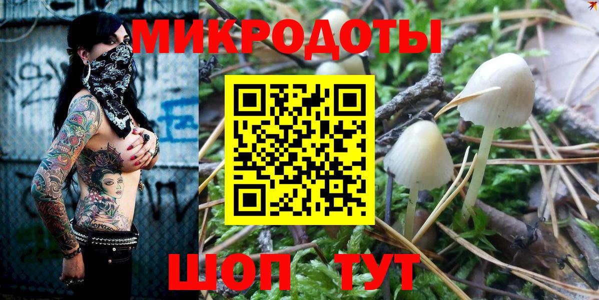 Галлюциногенные грибы Cubensis Краснодар