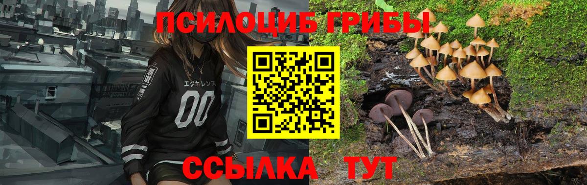 Краснодар  Псилоцибиновые грибы Cubensis  Галлюциногенные грибы мицелий  Вход с VPN 